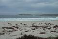 Carmel 10-30-08 236